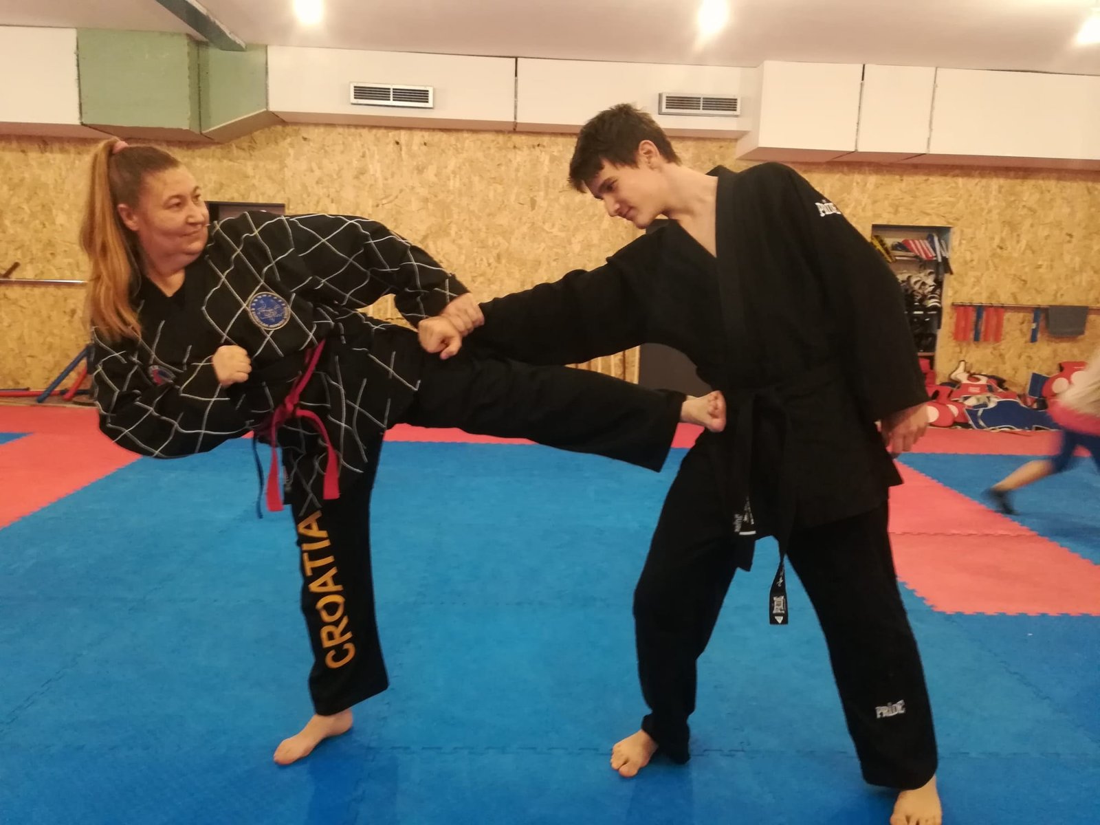 hapkido-nozne-tehnike-naslovna