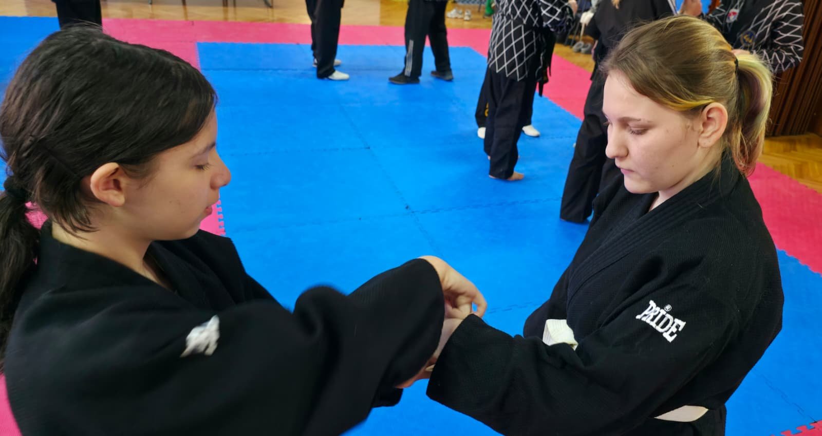 hapkido-nozne-tehnike-naslovna